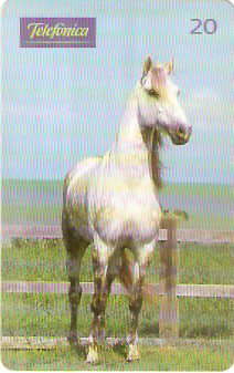 SP-0195 - Andaluz é Potência